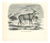 Paul Gervais, The Antelope, 1854, Lithograph For Sale