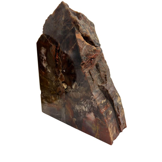 1950s 1950s Arizona Petrified Wood Bookends For Sale - Image 5 of 6