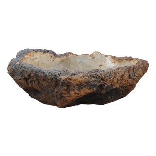Petrified Coral Bowl by Xyleia Petrified Wood For Sale