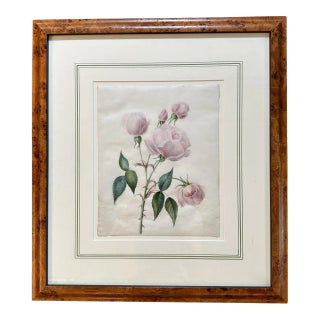 18th Century French Hand-Painted Drawing on Vellum of a Rose For Sale