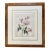 18th Century French Hand-Painted Drawing on Vellum of a Rose For Sale