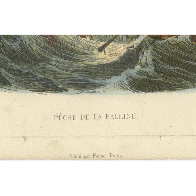 After Édouard Traviès, Whale Hunt, 1840, Hand-Colored Engraving For Sale - Image 6 of 9