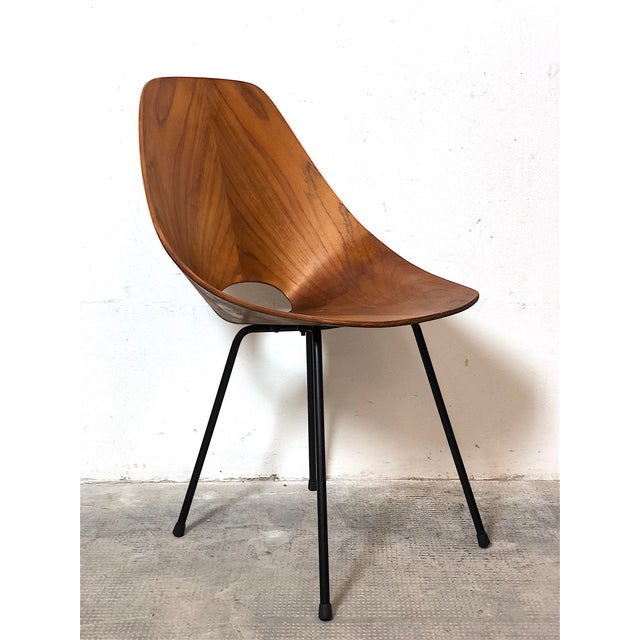 Curved Plywood Chairs by Vittorio Nobili, Italy, 1950s, Set of 2 For Sale - Image 16 of 18