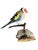 Folk Art Austrian Folk Art Carved Wood Bird #84, 1930s For Sale - Image 3 of 5