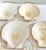 Antique White Vintage Natural Scallop Shell Serving Dishes, Coastal Set of 7 For Sale - Image 8 of 12