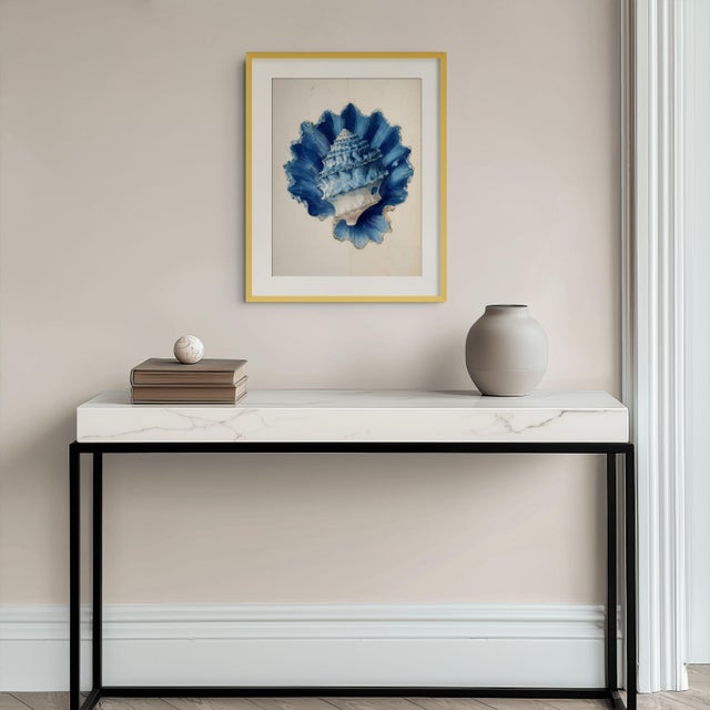 Blue Set of 8 – Blue and White Conch Shells Collection | Coastal Natural History Fine Art Prints For Sale - Image 8 of 18