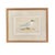 Illustration Antique Lydon Morris Hand Colored Seabird Ornithological Prints Framed Set of 3 Circa 1880 For Sale - Image 3 of 12