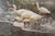 Realism Carl Brenders "Shoreline Quartet - White Ibis" Signed Limited Edition Print, 1990 For Sale - Image 3 of 11