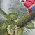 Coastal Tropical Scarlet Macaw Parrot Painting on Canvas - Signed For Sale - Image 3 of 12
