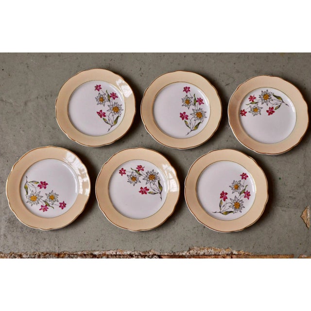 1950s French Bohemian Plates from Keller et Guerin Lunéville, Set of 6 For Sale - Image 5 of 5