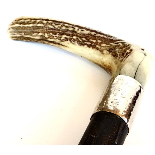 American Antique Stag Horn Handle American Walking Stick Circa 1900 For Sale - Image 3 of 7