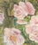 Mid 20th Century American Pink Roses Oil on Canvas Panel, 20th Century For Sale - Image 5 of 7