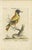 Johann Seligmann, Hand-Colored Engraving of the Black-Headed Oriole, 1800s, Print For Sale - Image 6 of 7