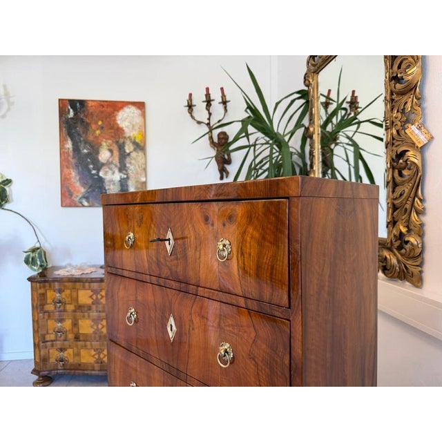 Brown Biedermeier Week Dresser in Walnut For Sale - Image 8 of 16