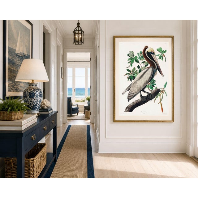 Brown Pelican by Audubon, Vintage Art Print Reproduction, 20" X 30" For Sale - Image 11 of 13