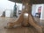 Antique Round Oak Pedestal Dining Table With Claw Feet Dating From the Late 19th to Early 20th Century. For Sale - Image 10 of 14