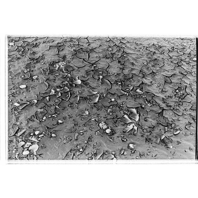 This photograph Tre Archi_09_2021 was taken by the Italian photographer Serena Zeppilli. It is part of the series "Tre...