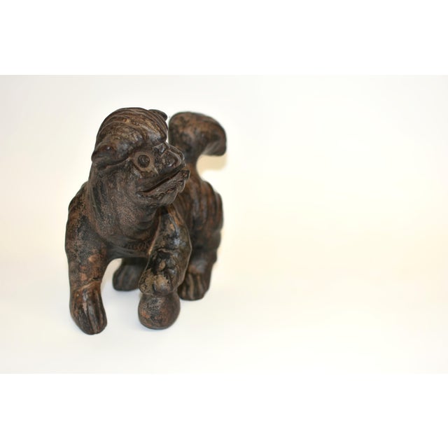 19th Century Foo Dog Whole Root Rustic Country Folk Art For Sale - Image 4 of 12