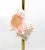 Brass Candlesticks Shells Seashells For Sale - Image 12 of 15
