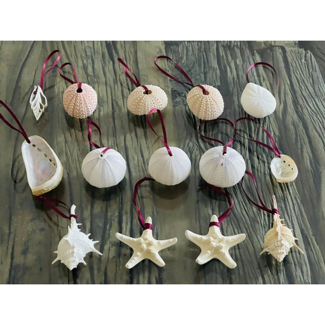 1960s Vintage Boho Coastal Christmas Ornaments Sea Shells - Set of 14 For Sale - Image 5 of 5