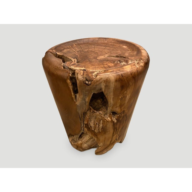 Contemporary Andrianna Shamaris Organic Natural Teak Wood Tray Side Table For Sale - Image 3 of 18