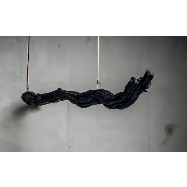 Burning Ego Light Suspension by Wim Verzantvoort For Sale - Image 9 of 13