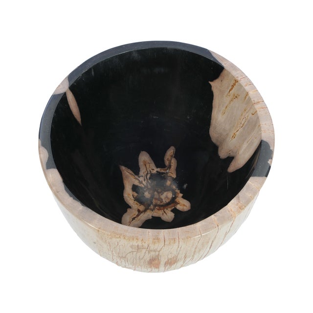 Petrified Wood Plant Pot by Xyleia Petrified Wood For Sale - Image 6 of 7