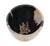Petrified Wood Plant Pot by Xyleia Petrified Wood For Sale - Image 6 of 7
