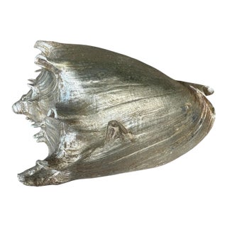 Vintage Silver Seashell Conch Shell Table Decor Beach House Summer Decor For Sale