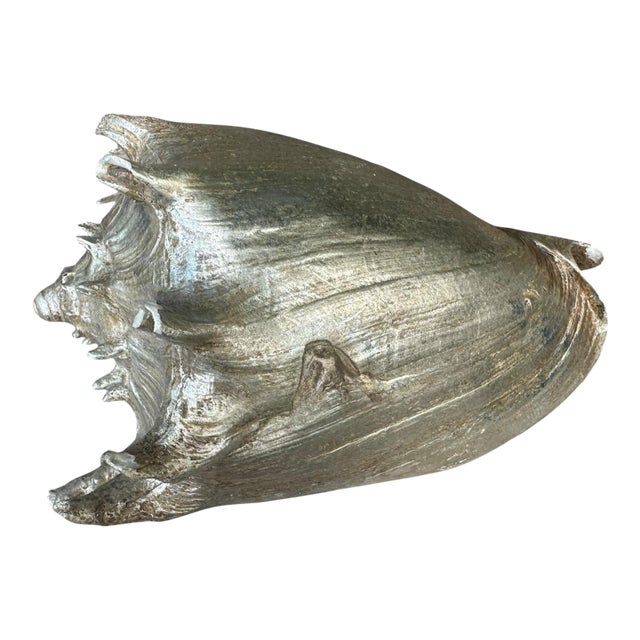 Vintage Silver Seashell Conch Shell Table Decor Beach House Summer Decor For Sale