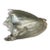 Vintage Silver Seashell Conch Shell Table Decor Beach House Summer Decor For Sale