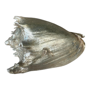 Vintage Silver Seashell Conch Shell Table Decor Beach House Summer Decor