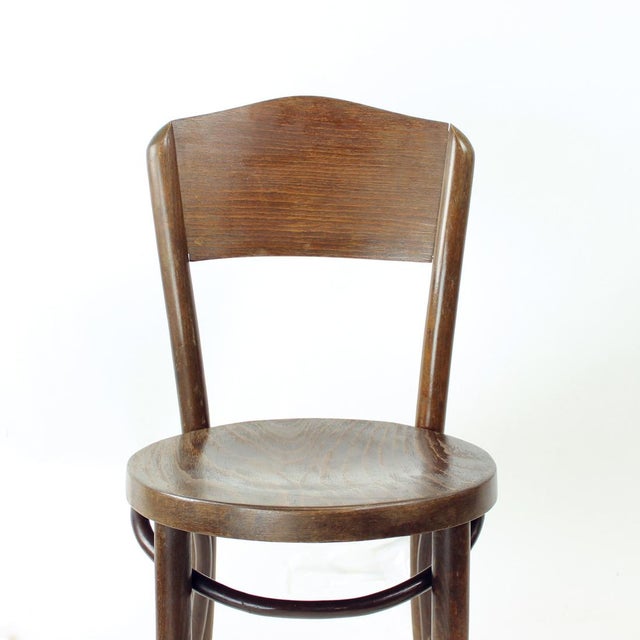 Brown Bentwood Bistro Chair from Tatra, Czechoslovakia, 1940s For Sale - Image 8 of 12