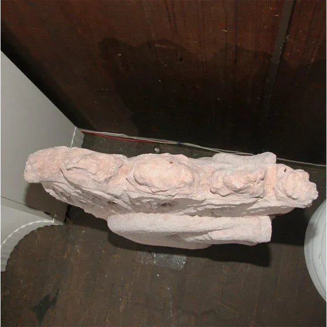 1930s Vintage Cement Horse Heads Sculptures- a Pair For Sale In New York - Image 6 of 7