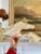 Wonderful pair of hollow plaster horse / stallion heads, decorative. Would look beautiful displayed flanking a mantel, or...