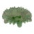 Antique Northwood Daisy Pearl Green Opalescent Vaseline Ruffled Bowl For Sale