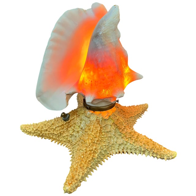 Vintage Natural Conch Shell & Starfish Coastal Table Lamps - a Pair For Sale - Image 11 of 18