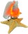 Vintage Natural Conch Shell & Starfish Coastal Table Lamps - a Pair For Sale - Image 11 of 18