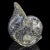 Mid 20th Century Antique Murano Seguso Vetri d'Arte Poli Italian Art Deco Glass Conch Seashell Figure Sculpture For Sale - Image 5 of 11