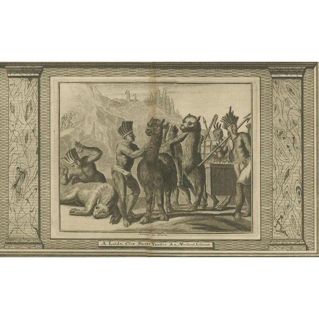 Arnoldus Montanus, Peruvian Llamas, 1671, Engraving For Sale - Image 5 of 10