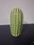 Green Minimalist 3 Pc. Glazed Stoneware Cacti - Set of 3 For Sale - Image 8 of 11