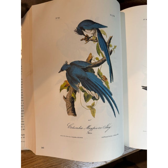1970s 1979 the Art of Audubon Hardcover Coffee Table Book For Sale - Image 5 of 12