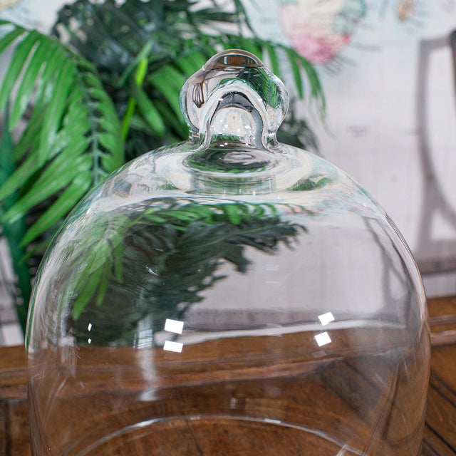 Tall Pair of Vintage Display Bowls, American, Glass, Jardiniere, Candle Stands For Sale - Image 9 of 11