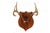 Rustic Set of 4 Vintage Mounted Deer Antlers With Leather and Brass Tacks For Sale - Image 3 of 15