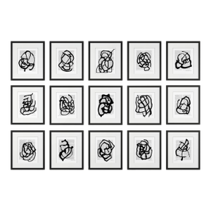 Black & White Abstractions Series' (2) - Framed Gallery Wall Art Prints Installation by Diane Grant - Set of 15