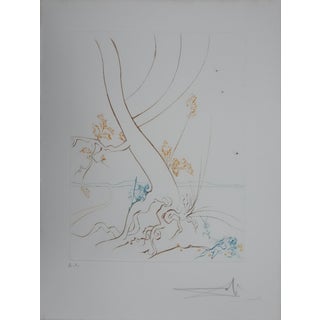 Salvador Dali, Paradise Lost: The Tree of Knowledge, 1974, Engraving For Sale