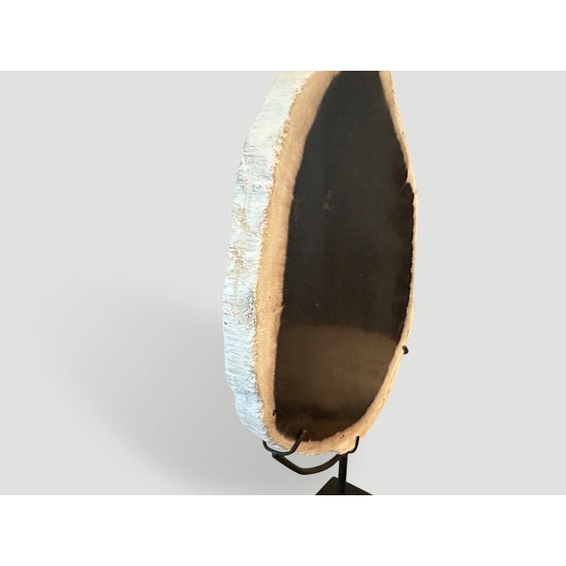 Contemporary Andrianna Shamaris Minimalist Petrified Wood on Stand For Sale - Image 3 of 5