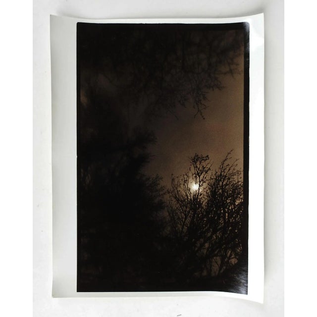 Vintage circa 1990's photograph on heavy paper by Eric C. Weller (20th century) Texas. Dark sepia toned semi glossy...