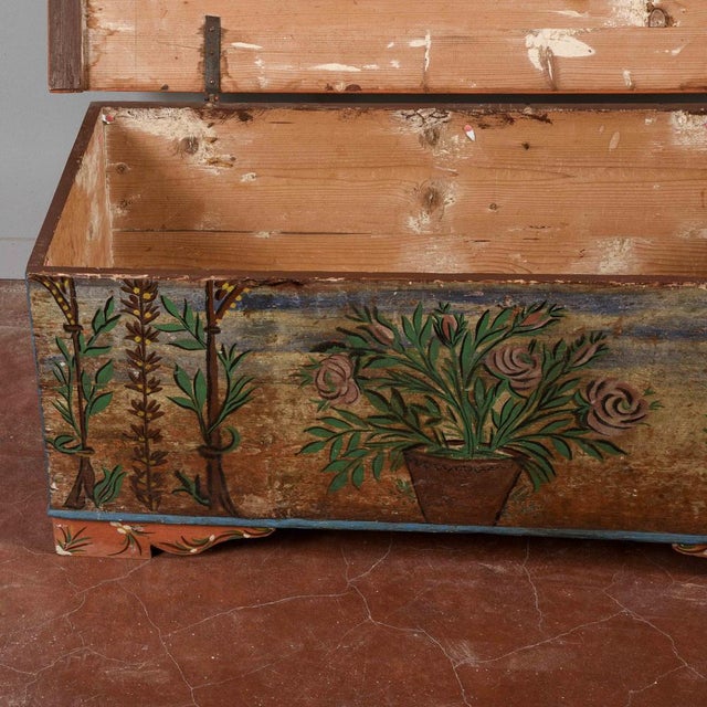 Painted Fir Chest, Early 1900s For Sale - Image 10 of 18