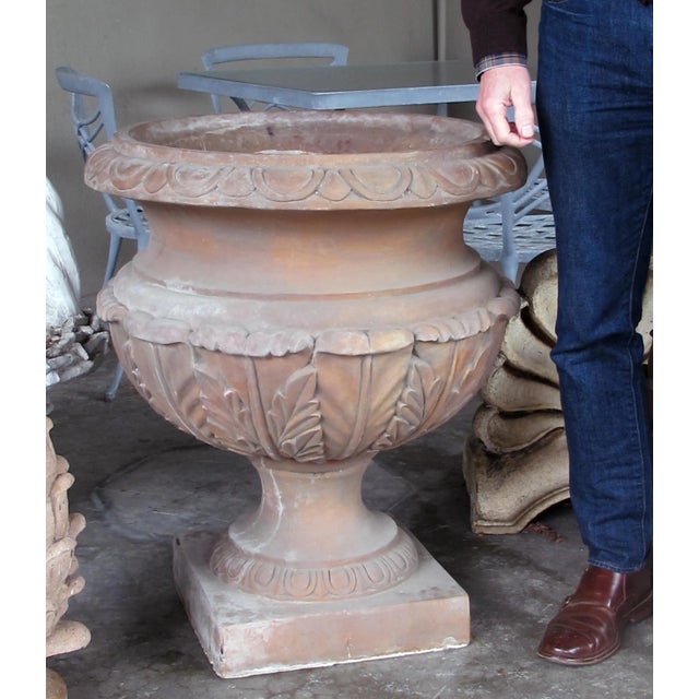 Neoclassical Large Neoclassical Style Terra Cotta Campagna-Form Garden Urn With Bold Acanthus Leaf Decoration For Sale - Image 3 of 7